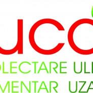 Ce sunt uleiurile uzate și ce efect au asupra mediului înconjurător?